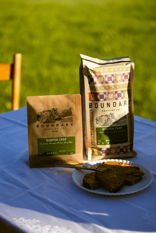 Bumper Crop | Nicaragua (micro-lot)