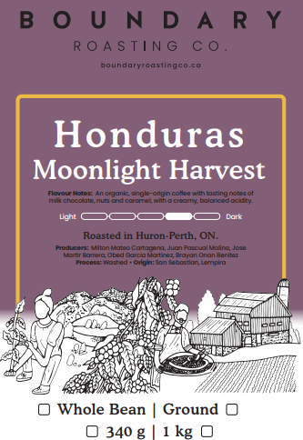 Honduras | Moonlight Harvest